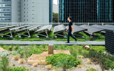 Un toit végétalisé avec des panneaux solaires